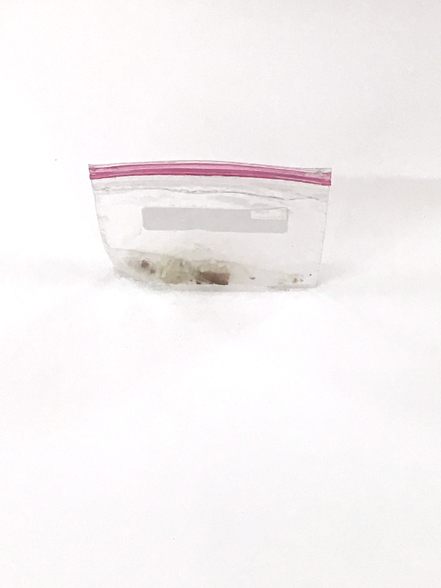 Batyah Mayer Oral History Prop: Bread in Ziplock